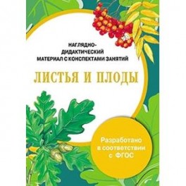 Папка. Листья и плоды