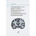 Сосцевидные тела гипоталамуса. Морфологические особенности и онтогенетические трансформации