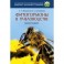 Фитогормоны в пчеловодстве. Монография