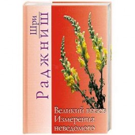 Великий вызов. Измерения неведомого
