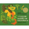 Альбом для раскрашивания. Угадай, нарисуй, раскрась