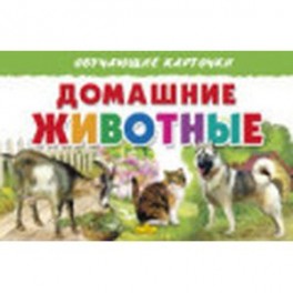 Домашние животные