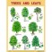Плакат. Trees and Leafs (Деревья и листья)