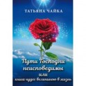 Пути Господни неисповедимы или книга чудес велич