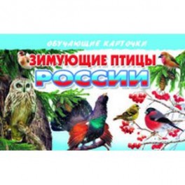 Зимующие птицы России
