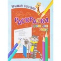 Времена года