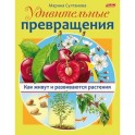 Удивительные превращения. Как живут и развиваются растения