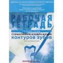 Схематичное изображение контуров зубов. Рабочая тетрадь