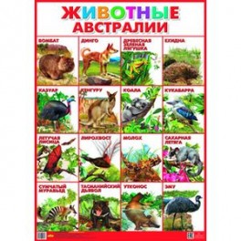 Плакат. Животные Австралии (550х770)
