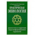 Практическая эниология.Диагностика и коррекция энергоинформационных нарушений