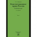 Конституционное право России. Учебный курс. Учебное пособие. В 2 томах. Том 1