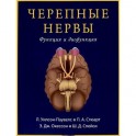 Черепные нервы. Функция и дисфункция