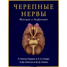 Черепные нервы. Функция и дисфункция