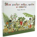 Как растут ягоды,орехи и фрукты