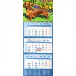 Календарь квартальный 2018 год "Год собаки. Такса среди цветов"