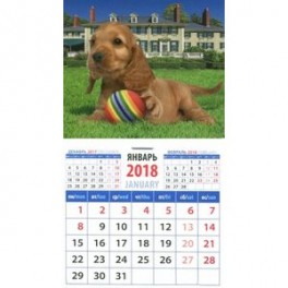 Календарь "Год собаки. Щенок английского терьера с мячиком"