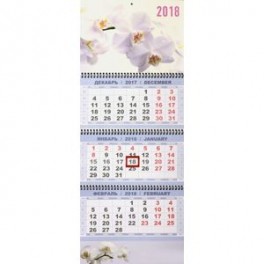 Квартальный календарь на 2018 год "Белая орхидея"