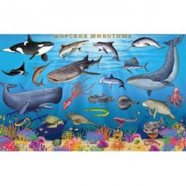 Морские животные. Цифры и факты. Настольное издание