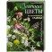 Весенние цветы из полимерной глины. Подробные мастер-классы