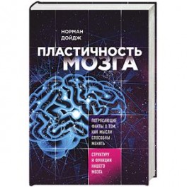 Пластичность мозга. Потрясающие факты о том, как мысли способны менять структуру нашего мозга