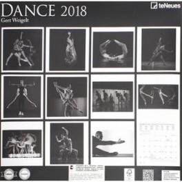 Календарь настенный "Танец" на 2018 год