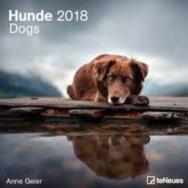 Календарь 2018 "Собаки" 30*30 (95673)