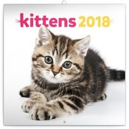Календарь на 2018 год, настенный, ежемесячный «Kittens»