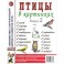 Птицы в картинках. Выпуск 2. Наглядное пособие для педагогов, логопедов, воспитателей и родителей