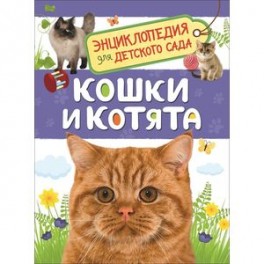 Кошки и котята