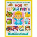 Моя первая книга. Энциклопедия для малышей от 6 месяцев