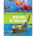 Жизнь в океане