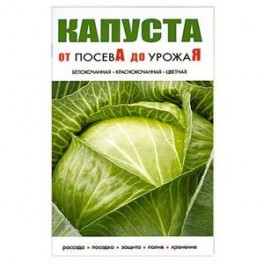 Капуста.От посева до урожая
