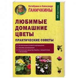 Любимые домашние цветы. Практические советы