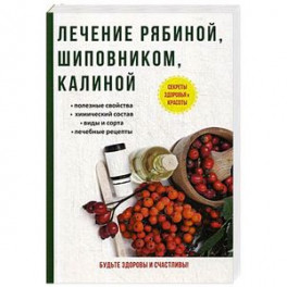 Лечение рябиной, шиповником, калиной