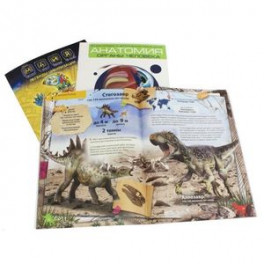 Комплект 1 «Динозавры. Майя. Анатомия». 3 книги