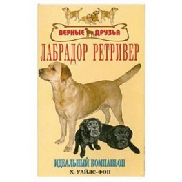 Лабрадор ретривер