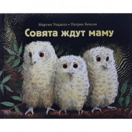 Совята ждут маму