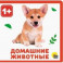 Домашние животные