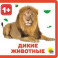 Дикие животные