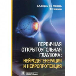 Первичная открытоугольная глаукома. Нейродегенерация и нейропротекция