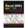 Excel 2003 Visual Encyclopedia (Wiley Visual Imprint)