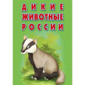 Карточки &laquo;Дикие животные России&raquo;. Интересные факты