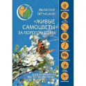 "Живые самоцветы" за порогом дома. Удивительные беспозвоночные