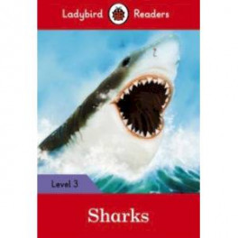 Sharks + downloadable audio