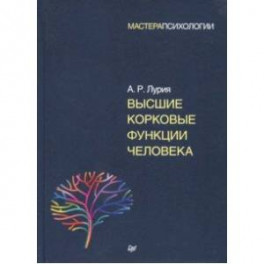 Высшие корковые функции человека