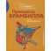 Принцесса Брамбилла