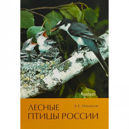 Лесные птицы России