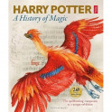 Harry Potter - A History of Magic: The Book of the Exhibition