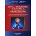 Central Nervous System / Центральная нервная система