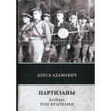 Партизаны. Война под крышами